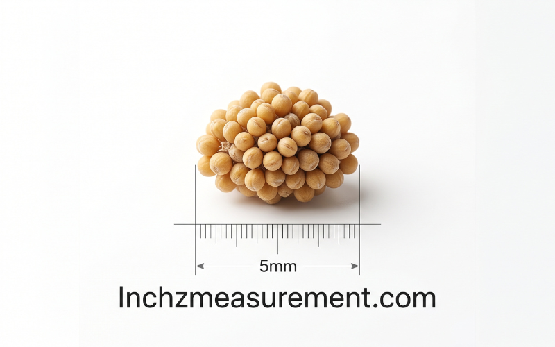 How Big is 5mm 